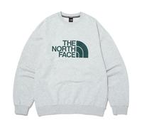 THE NORTH FACE Big Logo Sweater 'Grey' NM5MN61C M