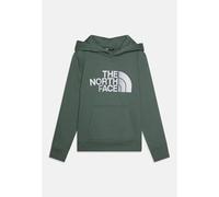 The North Face Boy's Drew Peak Hooded Sweatshirt, Duck Green, 14/16 Years