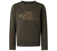 The North Face Unisex Kids Drew Peak Reg Cw Sweatshirt, New Taupe Green, 176
