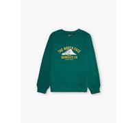 The North Face Boys Evergreen Kids Branded-print Relaxed-fit Cotton-jersey Sweatshirt 5-16 Years M