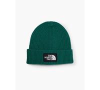 The North Face Boys Evergreen Kids Salty Brand-patch Knitted Beanie 1size