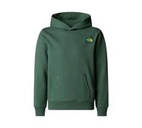 The North Face Boy's Graphic Relaxed Hooded Sweatshirt, Duck Green, 14/16 Years