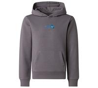 The North Face - Boy's Liquid Logo Reg Hoodie - Hoodie size S, grey