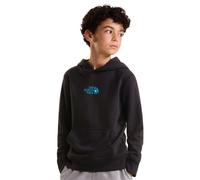 The North Face Boys Liquid Logo Regular Hoodie: Black: L Size: L, Colo