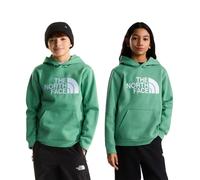 The North Face Essential Drew Peak Hoodie