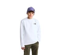 The North Face Evolution Box Nse Sweatshirt