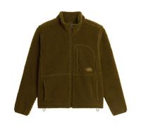 The North Face | Extreme Pile 2 Fleece | Full Zip | Men's | High Pile Fleece Jacket | Caraway Seed S