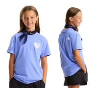 The North Face Girls Brand Proud Tee: Periwinkle Glow: L Size: L, Colo