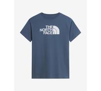 Regular T-shirt The North Face Evolution Half Dome Gris L