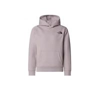 The North Face Kids Box Nse Regular Hooded Sweatshirt, Moonstone Grey, 10 Years