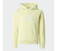 The North Face - Kid's Teen Drew Peak Light Hoodie - Hoodie size M, yellow