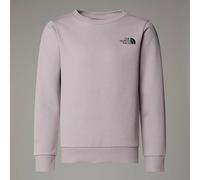 The North Face Kids Simple Dome Crew Sweatshirt, 10 Yearsoonstone Grey, 10 Years
