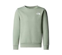 The North Face Kids Simple Dome Crew Sweatshirt, Slate Moss, 12 Years