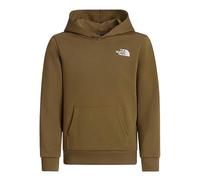 The North Face Kids Simple Dome Light Reg Hoodie, Cedar, 176