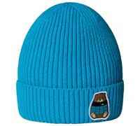 The North Face - Kid's TNF Logo Box Cuffed Beanie - Beanie size One Size, blue