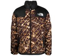 The North Face Lhotse Jacket Coal Bown Wtdstp XL