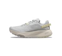 The North Face Men's Altamesa 300 Trail Running Shoes, Glacier Gray/Soapstone, 9
