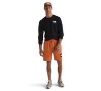The North Face Men's Box NSE Regular Reg Shorts, Iron Bronze/TNF Black, M