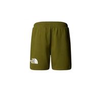 The North Face Men's Easy Regular Reg Shorts, Forest Olive, M