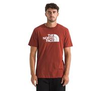 The North Face Men's Evolution Half Dome Regular Short Slee T-Shirt, Iron Clay, XL