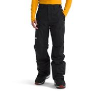The North Face Men's Freedom Insulated Pants, Tnf Black/Npf, L