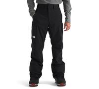 The North Face Men's Freedom Pants, TNF Black/Npf, S