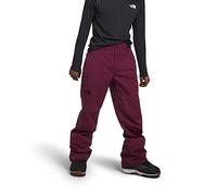 The North Face Men's Freedom Stretch Pant, Boysenberry, Large Regular