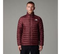 The North Face Men's Huila Synthetic Jacket, Alpine Plum, L