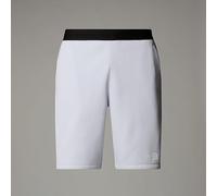 The North Face Men's Mountain Fleece Reg Shorts, Mystic Haze, XL