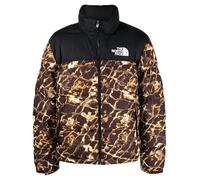 The North Face Men's Mountain Jacket