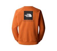 The North Face Men's Raglan Box Nse Crew Sweatshirt, Iron Bronze/Tnf Black, XXL
