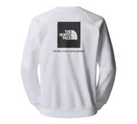 The North Face Men's Raglan Box Nse Crew Sweatshirt, Tnf White, S