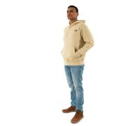 The North Face Men's Raglan Box Nse Hooded Sweatshirt, Gravel/Smokey Brown, L