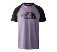 THE NORTH FACE Men's Raglan T-Shirt, Lunar Slate, XS