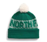 The North Face Men's Retro Cabin Beanie Hat, Evergreen/White Dune, One Size