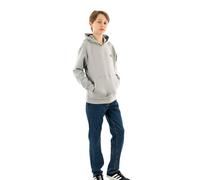 THE NORTH FACE Mountain Line Hooded Sweatshirt Meld Grey S