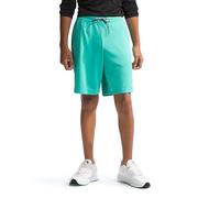 The North Face Never Stop Shorts Geyser Aqua 176