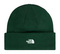 The North Face Norm Beanie Green Fi0p