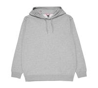 The North Face Oversized Hoody Grey