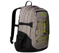 The North Face P25u unisex backpack NF00CF9CBI4 BOREALIS CLASSIC