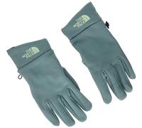 THE NORTH FACE Rino Gloves Dark Sage L