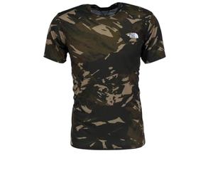 The North Face Standard T-Shirt New Taupe Green Snowcap Mountains Print L