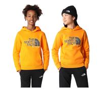 The North Face Teens Drew Peak Hoodie: Cone Orange: L Size: L, Colour: