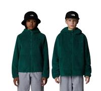 The North Face Boys Evergreen Kids Campshire Logo-embroidered Zip-up Fleece Hoody 6-20 Years Xs
