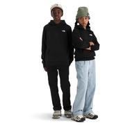 The North Face Unisex Kids Evolution Simple Dome Hooded Sweatshirt (pack of 1)