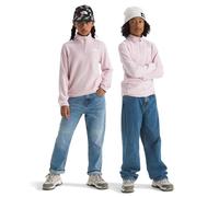 The North Face Unisex Kids Glacier 1/4 Zip Pullover (Little Kid/Big Kid) Jacket (pack of 1)