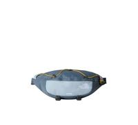The North Face Unisex Terra Lumbar 6L Hip Bag, Granite Grey/Frost Grey