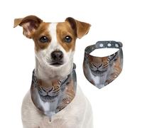 The Northeast Tiger in The Snow Dog Bandana, Adjustable for Boys and Girls,Suitable for Cats and Dogs Pet Accessories