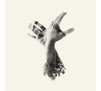 The Last Dinosaur – The Nothing – Naim