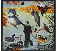 The Notwist - The Devil You and Me